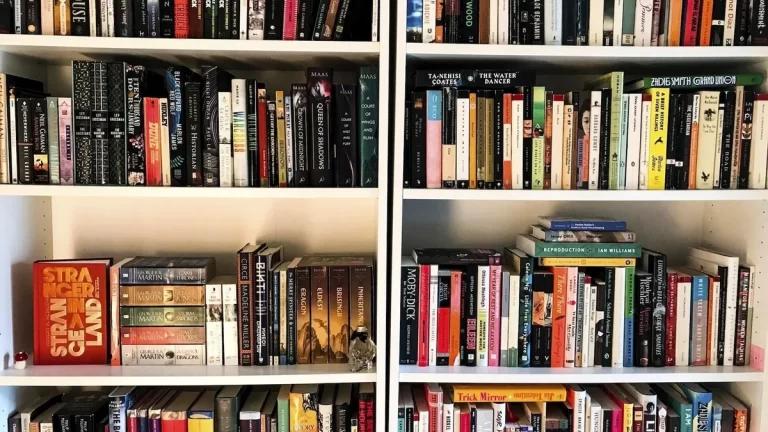 bold bookshelf 768x432